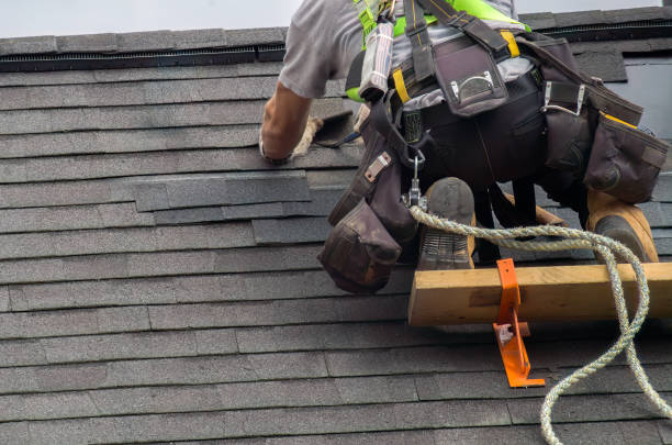 Best Roof Gutter Cleaning  in New California, OH