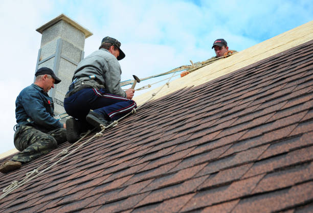 Best Tile Roofing Contractor  in New California, OH